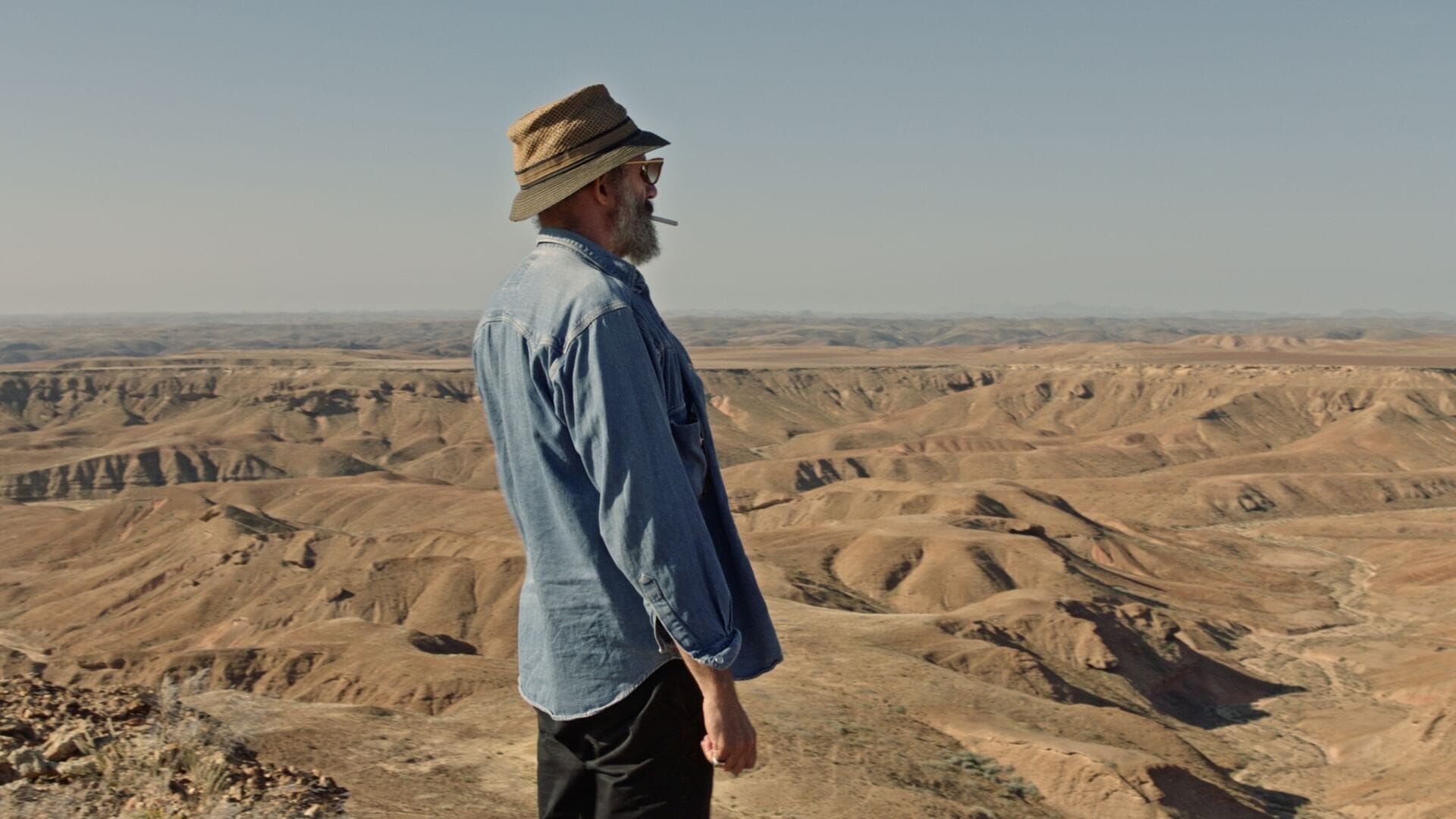 Die Papiere des Engländers