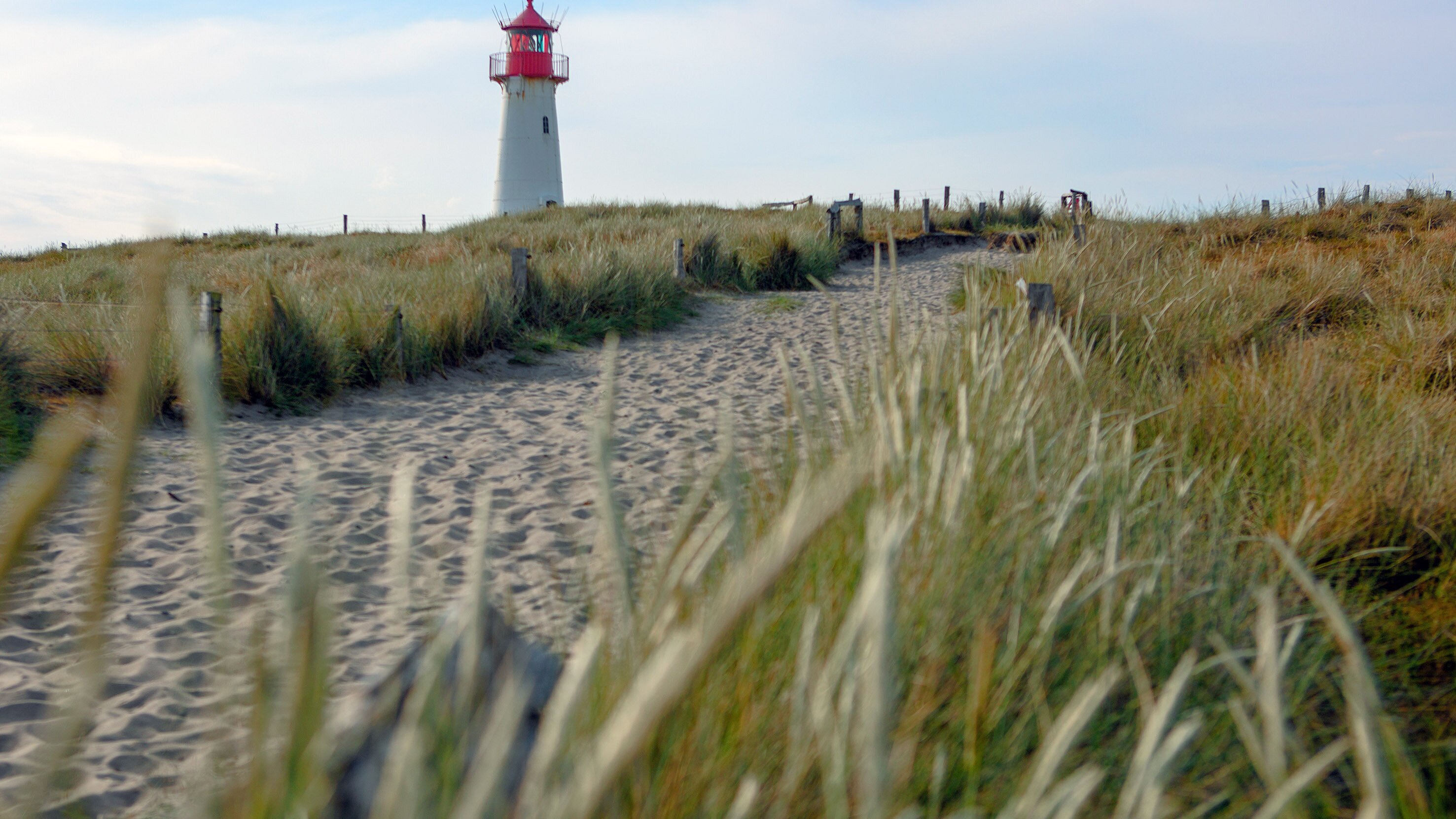 Leben an der Nordsee