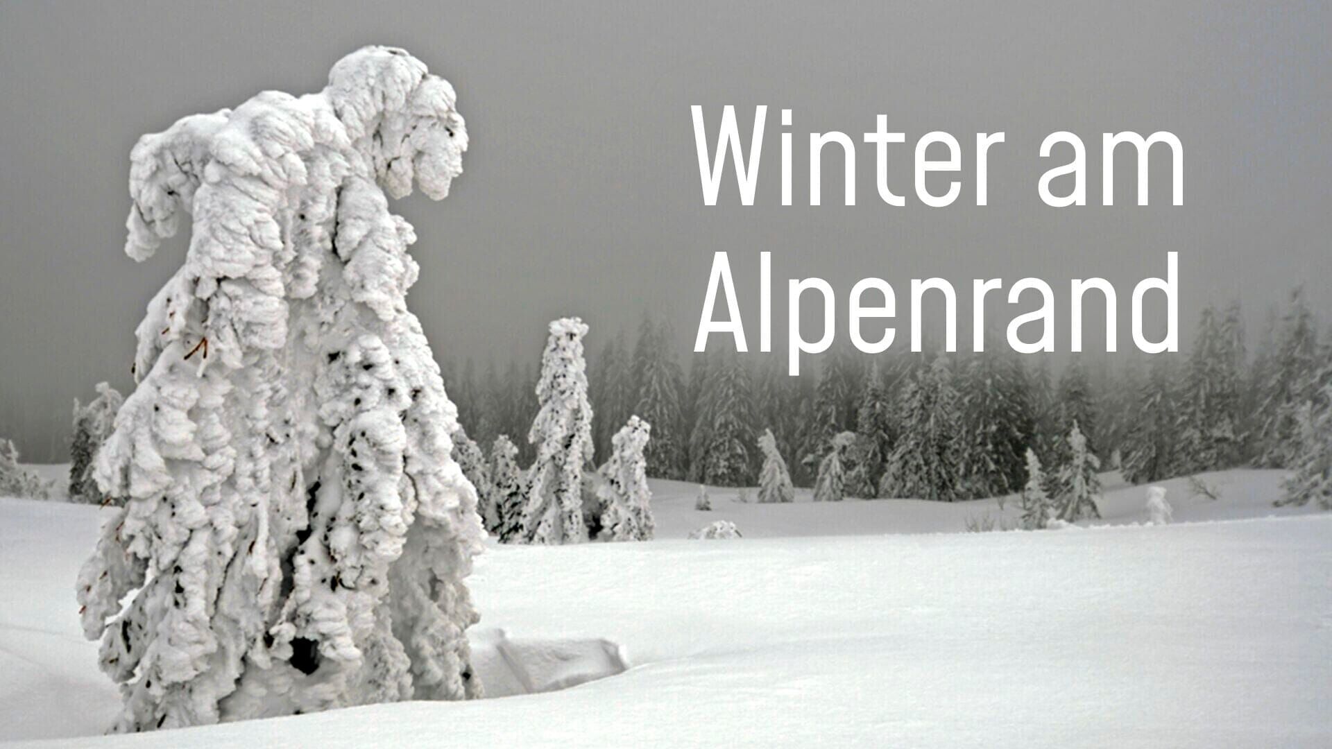 Winter am Alpenrand